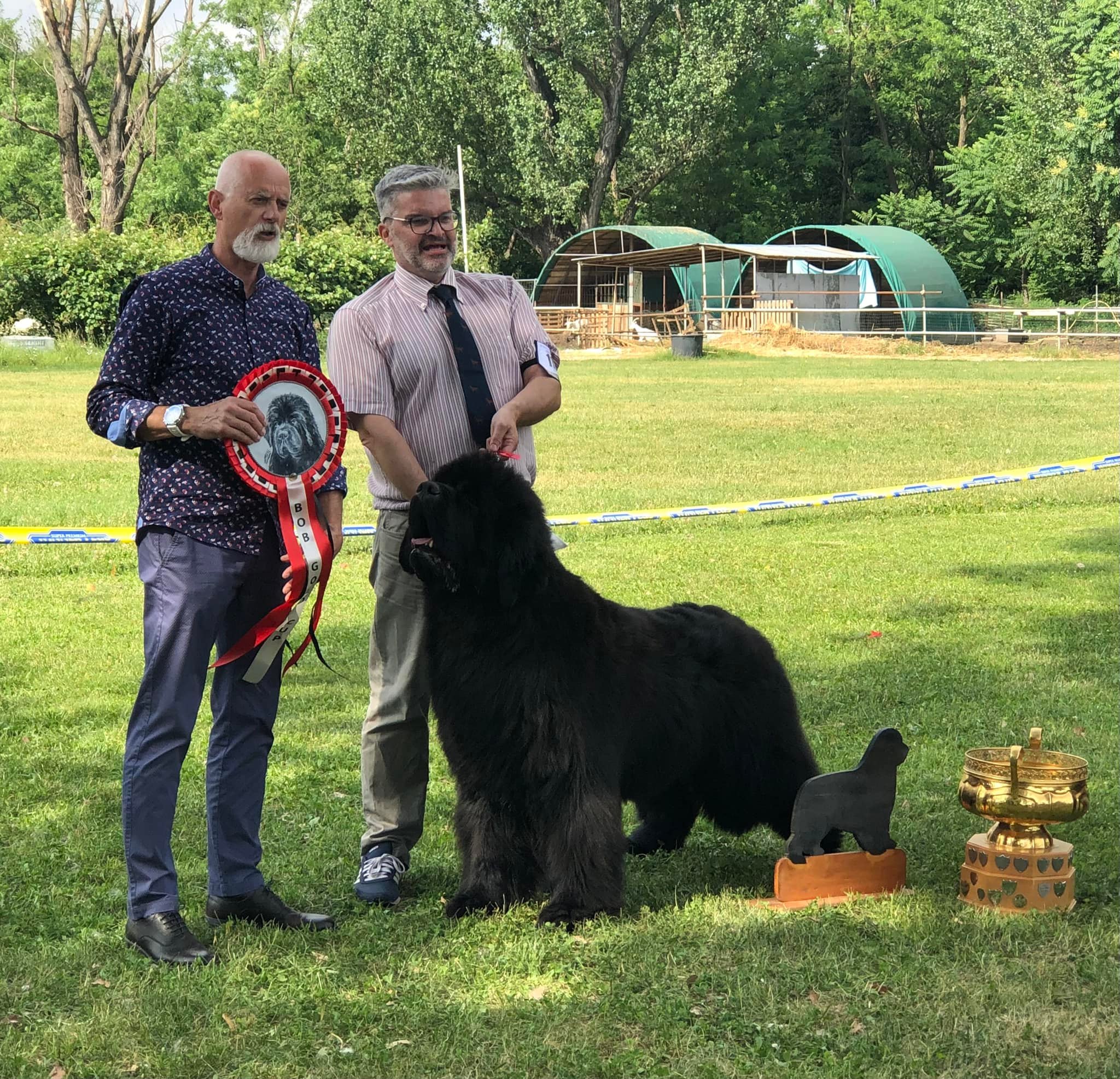 Morgan Morgan Allevamento Terranova Stealbears (Stealbears Boston) vincitore della Gold Cup SAT 2022